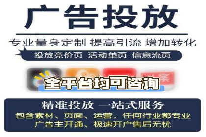 网络推广策略：竞价广告的实践案例